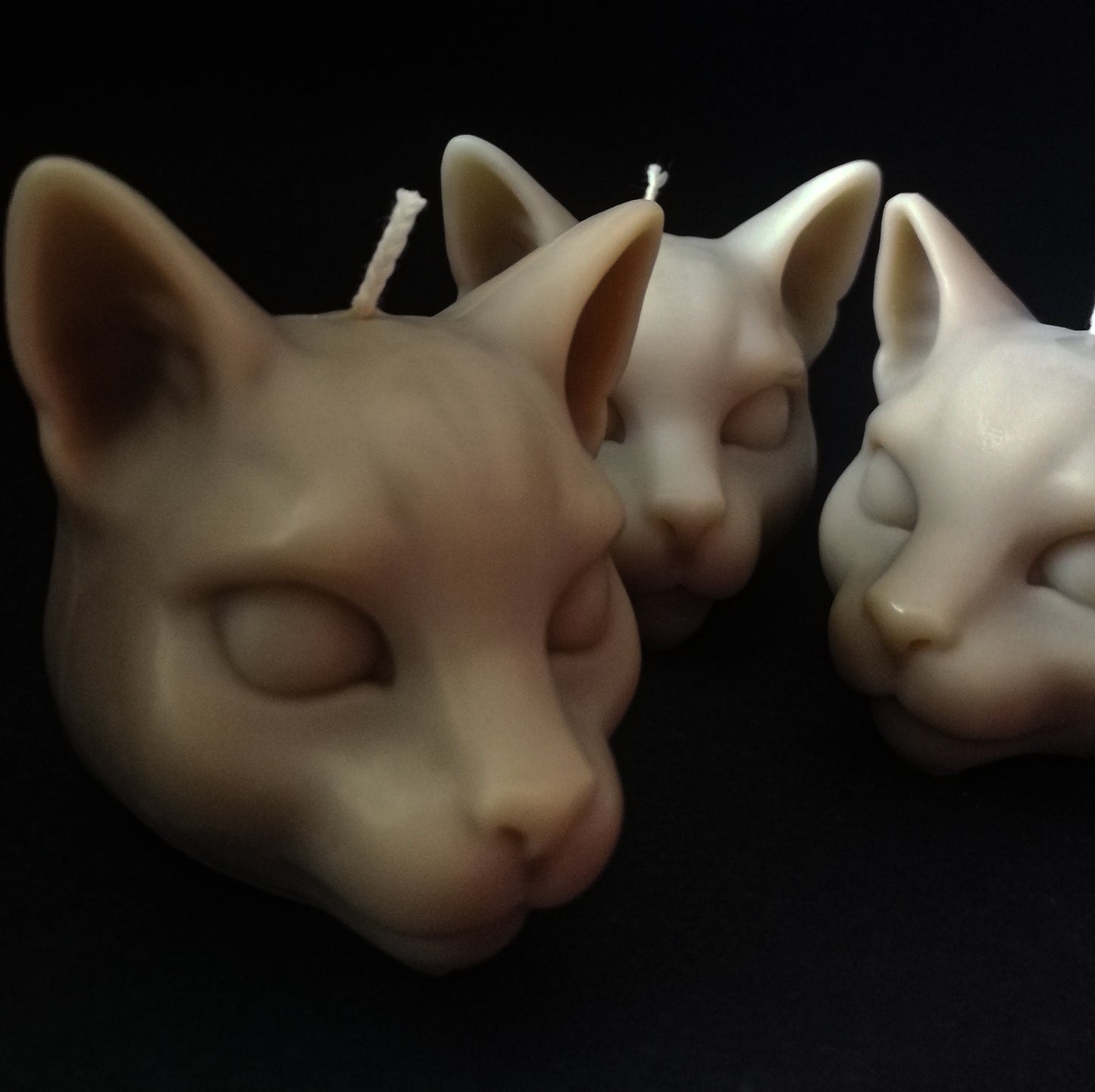 Cat heads candles box of 2