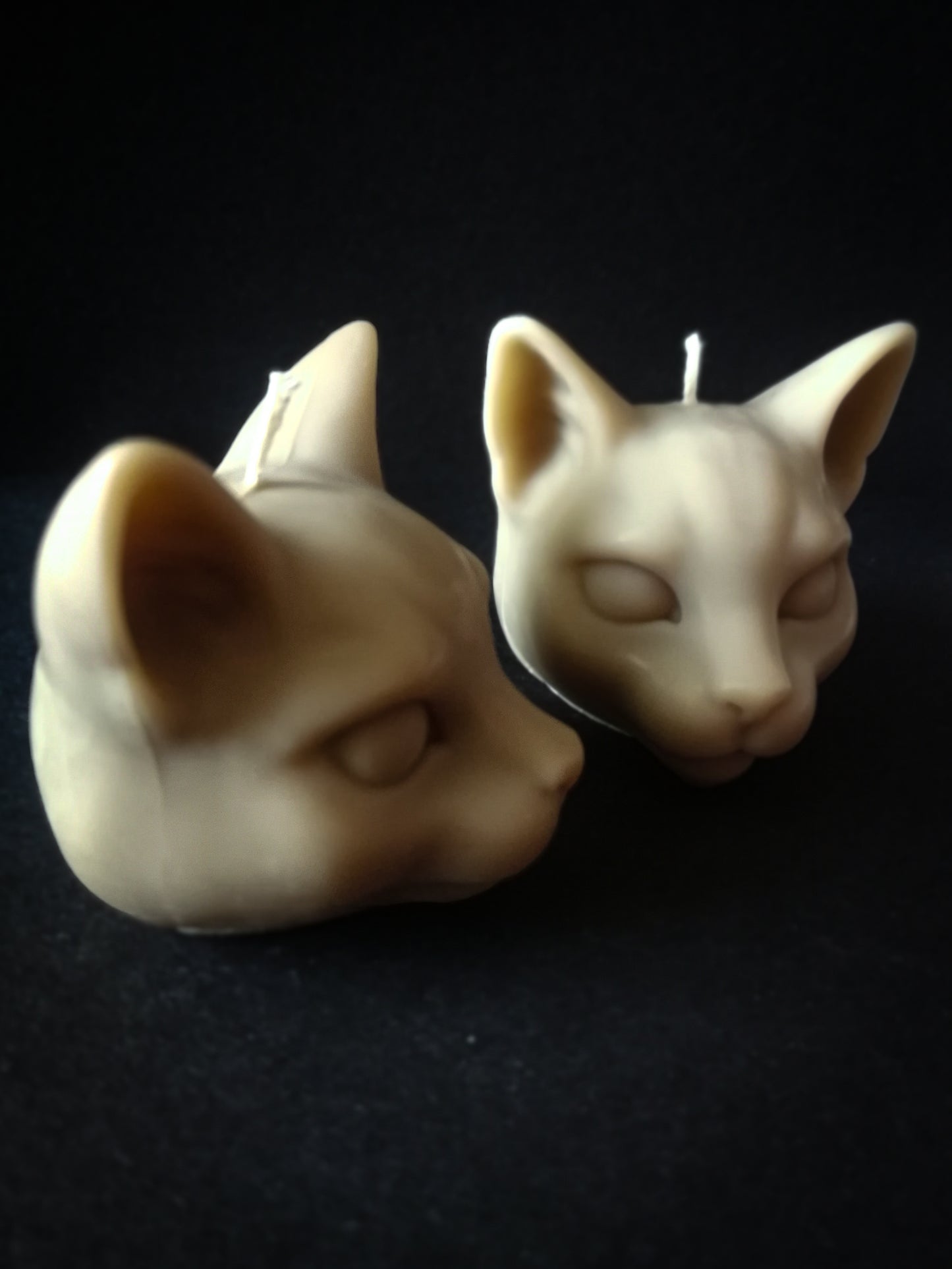 Cat heads candles box of 2